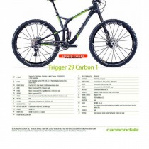 Cannondale Trigger 29 Carbon 2 2014 - Specifiche