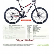 Cannondale Trigger 29 Carbon 2 2014 - Specifiche